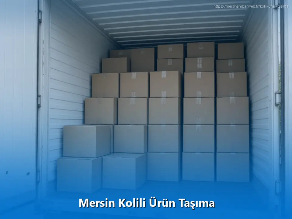 Mersin Kolili Ürün Taşıma