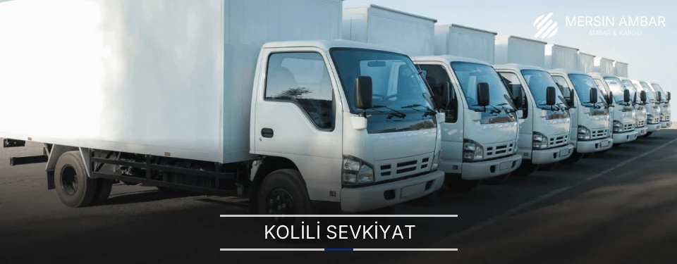 Mersin Kolili Sevkiyat Ambar Firmaları
