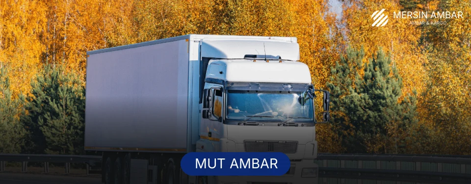 Mut Ambar