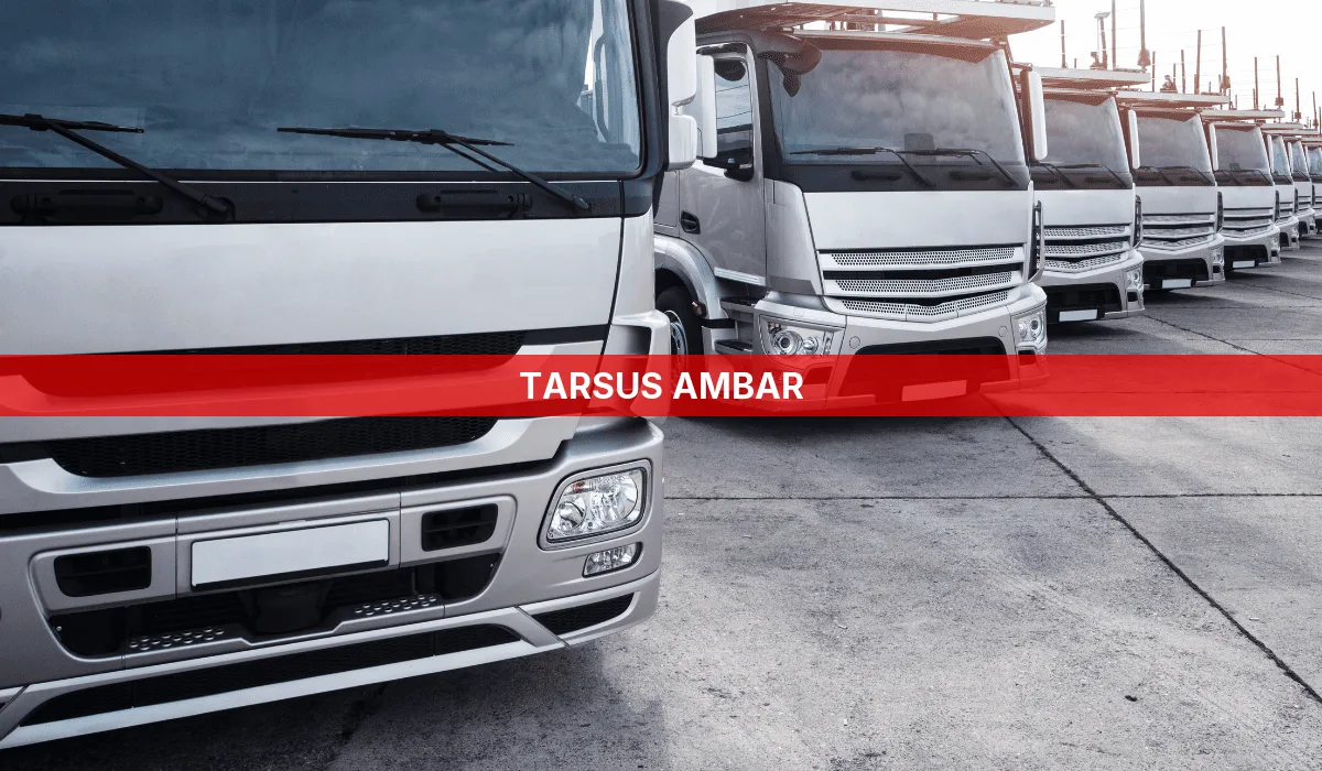 Tarsus Ambar