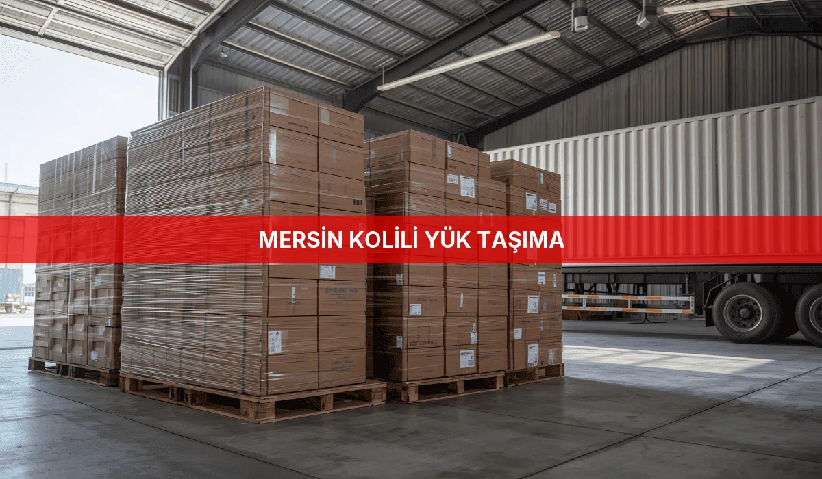 Mersin Kolili Yük Taşıma